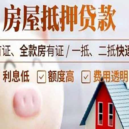苏尼特左贷款助贷公司新渝启服成立时间久